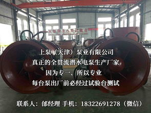 探索流體世界的隱秘力量 潛水貫流泵、全貫流閘門(mén)泵、燈泡泵與臥式全貫流泵技術(shù)解析